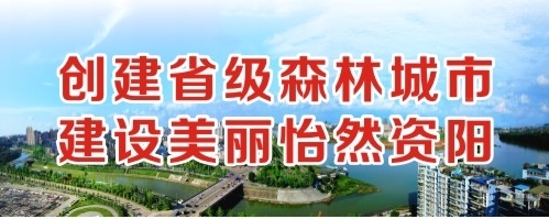 大逼操小逼创建省级森林城市 建设美丽怡然资阳